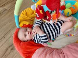 louis